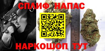 сатива Балахна