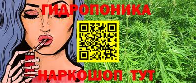 сатива Балахна