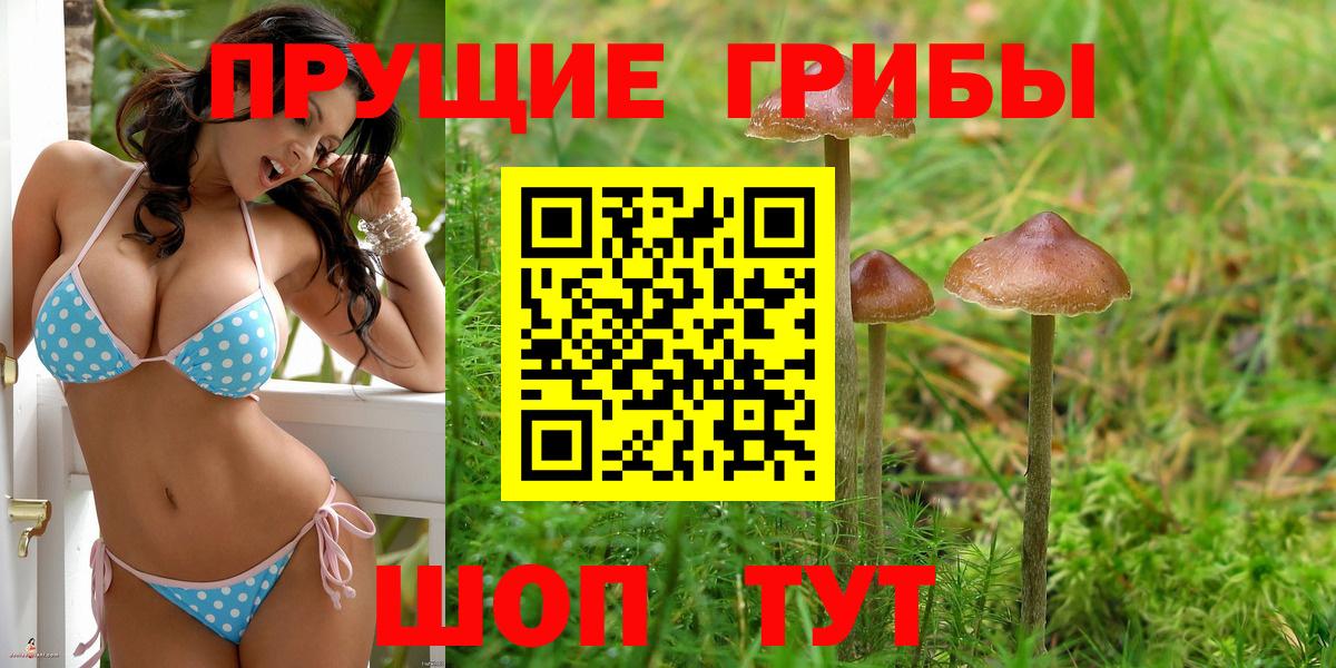 Галлюциногенные грибы Cubensis  Вход с VPN  Десногорск  Галлюциногенные грибы Cubensis 